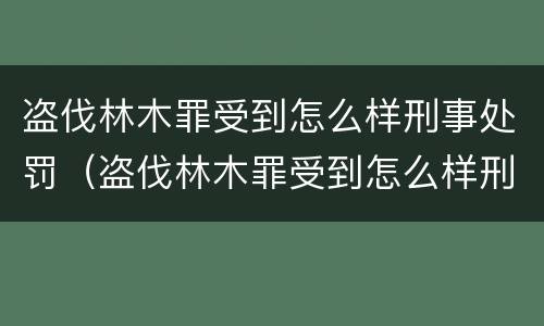 盗伐林木罪受到怎么样刑事处罚（盗伐林木罪受到怎么样刑事处罚怎么办）