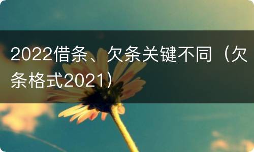 2022借条、欠条关键不同（欠条格式2021）