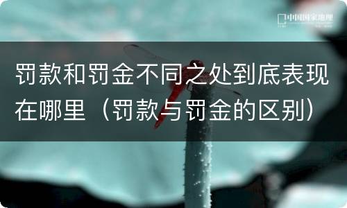 罚款和罚金不同之处到底表现在哪里（罚款与罚金的区别）