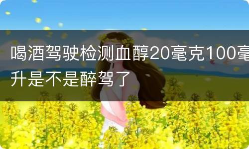 喝酒驾驶检测血醇20毫克100毫升是不是醉驾了