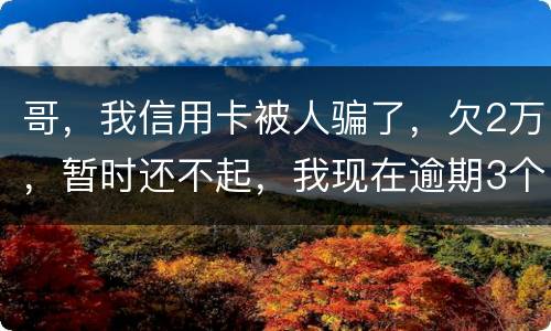 哥，我信用卡被人骗了，欠2万，暂时还不起，我现在逾期3个月了？我会不会坐牢。