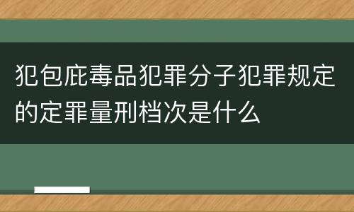 犯包庇毒品犯罪分子犯罪规定的定罪量刑档次是什么