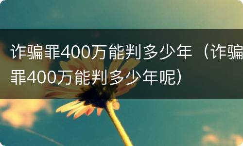 诈骗罪400万能判多少年（诈骗罪400万能判多少年呢）