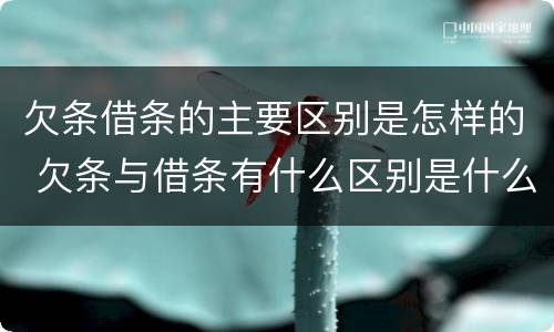 欠条借条的主要区别是怎样的 欠条与借条有什么区别是什么