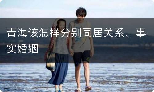 青海该怎样分别同居关系、事实婚姻