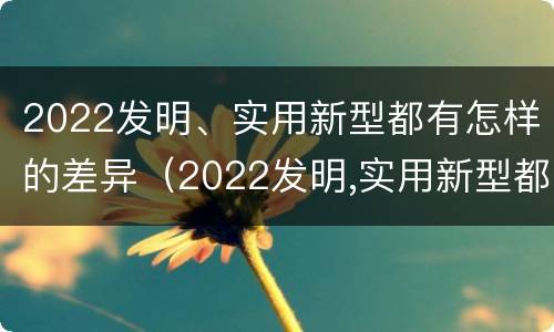 2022发明、实用新型都有怎样的差异（2022发明,实用新型都有怎样的差异呢）