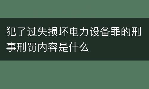 犯了过失损坏电力设备罪的刑事刑罚内容是什么