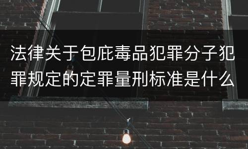 法律关于包庇毒品犯罪分子犯罪规定的定罪量刑标准是什么