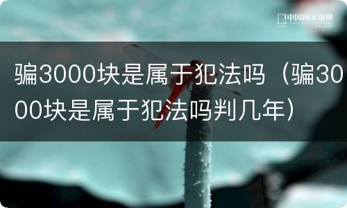 骗3000块是属于犯法吗（骗3000块是属于犯法吗判几年）