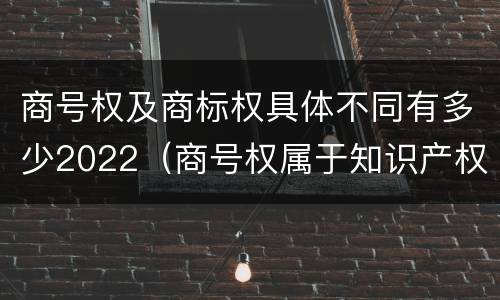 商号权及商标权具体不同有多少2022（商号权属于知识产权吗）