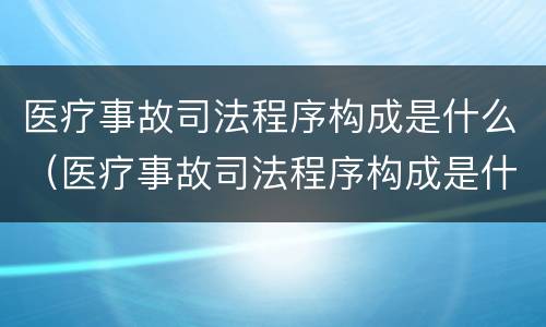 医疗事故司法程序构成是什么（医疗事故司法程序构成是什么）