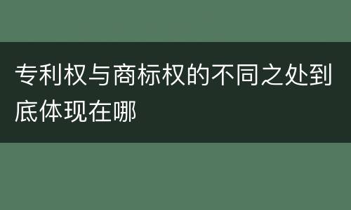 专利权与商标权的不同之处到底体现在哪