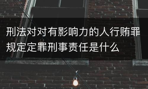 刑法对对有影响力的人行贿罪规定定罪刑事责任是什么