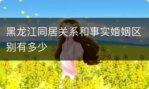 黑龙江同居关系和事实婚姻区别有多少