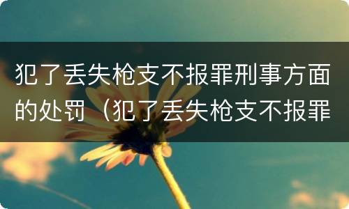 犯了丢失枪支不报罪刑事方面的处罚（犯了丢失枪支不报罪刑事方面的处罚有哪些）