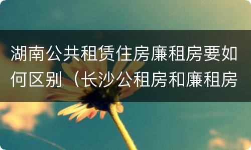 湖南公共租赁住房廉租房要如何区别（长沙公租房和廉租房的区别）