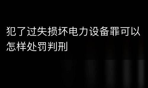 犯了过失损坏电力设备罪可以怎样处罚判刑