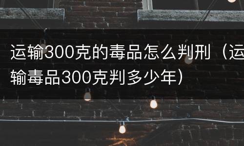 运输300克的毒品怎么判刑（运输毒品300克判多少年）