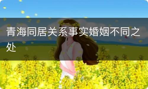 青海同居关系事实婚姻不同之处