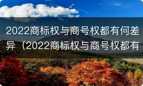 2022商标权与商号权都有何差异（2022商标权与商号权都有何差异和不同）