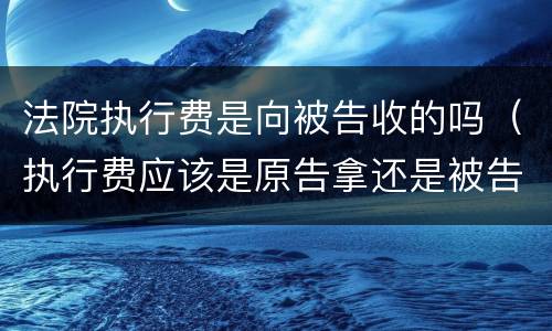 法院执行费是向被告收的吗（执行费应该是原告拿还是被告拿）