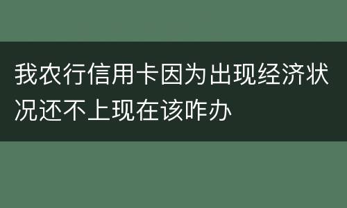 我农行信用卡因为出现经济状况还不上现在该咋办