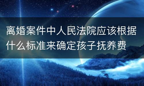 离婚案件中人民法院应该根据什么标准来确定孩子抚养费