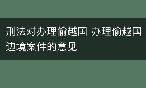 刑法对办理偷越国 办理偷越国边境案件的意见