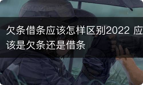 欠条借条应该怎样区别2022 应该是欠条还是借条