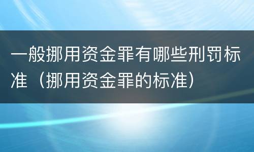 一般挪用资金罪有哪些刑罚标准（挪用资金罪的标准）