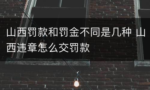 山西罚款和罚金不同是几种 山西违章怎么交罚款