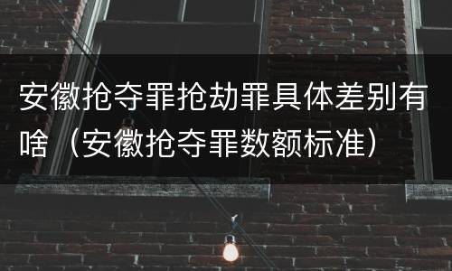 安徽抢夺罪抢劫罪具体差别有啥（安徽抢夺罪数额标准）