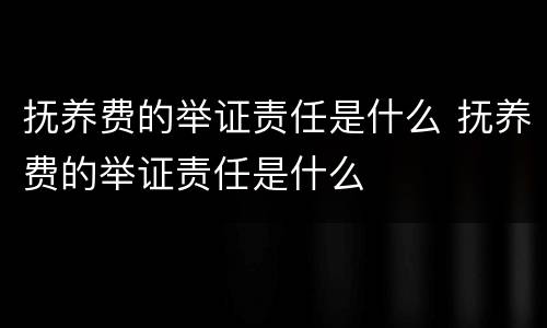 抚养费的举证责任是什么 抚养费的举证责任是什么