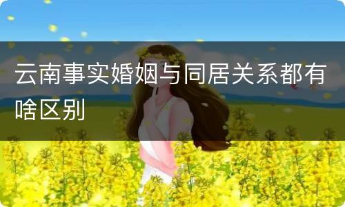 云南事实婚姻与同居关系都有啥区别