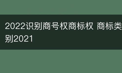 2022识别商号权商标权 商标类别2021