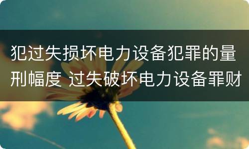 犯过失损坏电力设备犯罪的量刑幅度 过失破坏电力设备罪财产损失