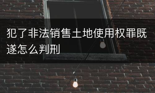 犯了非法销售土地使用权罪既遂怎么判刑