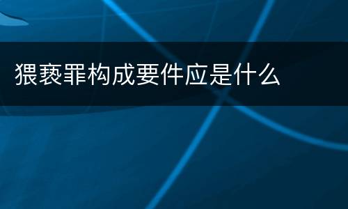 猥亵罪构成要件应是什么