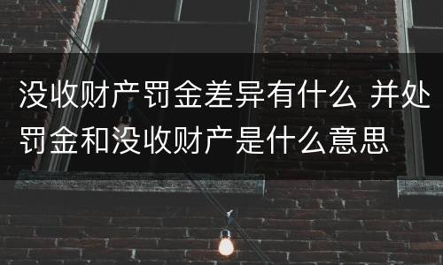 没收财产罚金差异有什么 并处罚金和没收财产是什么意思