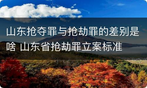 山东抢夺罪与抢劫罪的差别是啥 山东省抢劫罪立案标准