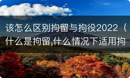 该怎么区别拘留与拘役2022（什么是拘留,什么情况下适用拘留）