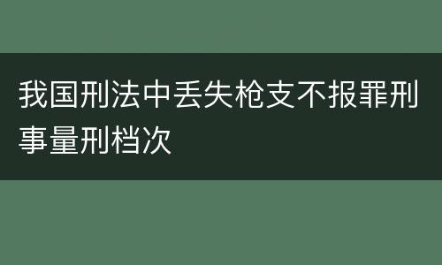 我国刑法中丢失枪支不报罪刑事量刑档次