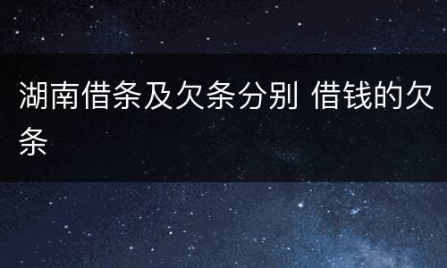 湖南借条及欠条分别 借钱的欠条