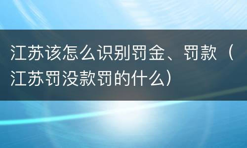 江苏该怎么识别罚金、罚款（江苏罚没款罚的什么）