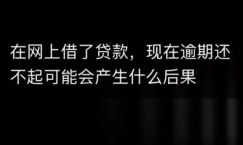 在网上借了贷款，现在逾期还不起可能会产生什么后果