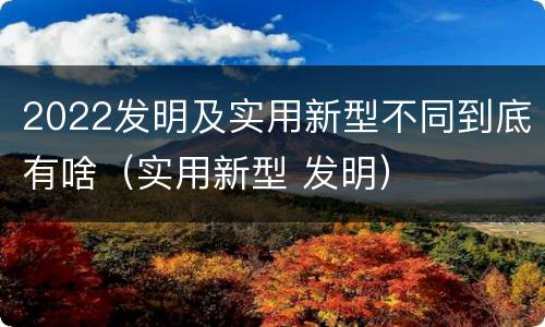 2022发明及实用新型不同到底有啥（实用新型 发明）