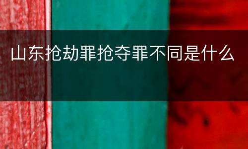 山东抢劫罪抢夺罪不同是什么