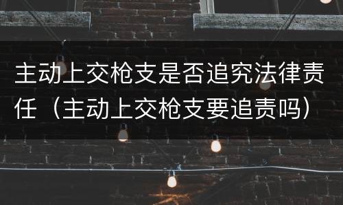 主动上交枪支是否追究法律责任（主动上交枪支要追责吗）