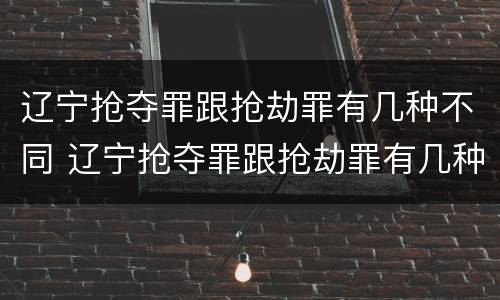 辽宁抢夺罪跟抢劫罪有几种不同 辽宁抢夺罪跟抢劫罪有几种不同处罚