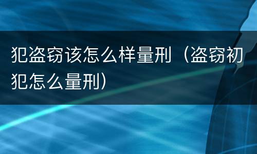 犯盗窃该怎么样量刑（盗窃初犯怎么量刑）